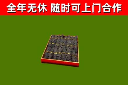 合川回收海参